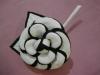 Camelia Ribeteada